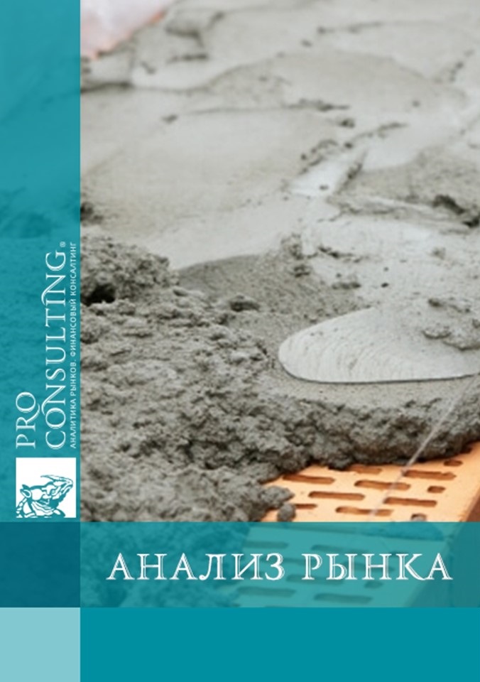 Анализ рынка строительных растворов в Донецкой области. 2019 год